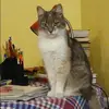 Отзыв от Римма Зубкова